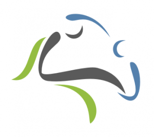 neurodinamica logo