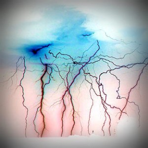 osteon rayos neuronas 2