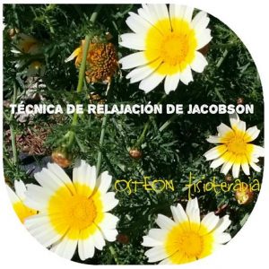 osteon relajacion jacobson fisioterapia yoga carlos lópez cubas
