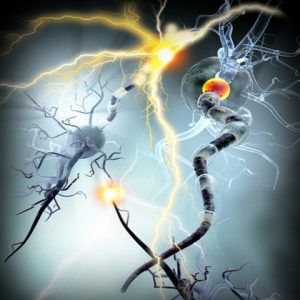dolor neuropatico osteon impertinente irritabilidad latencia