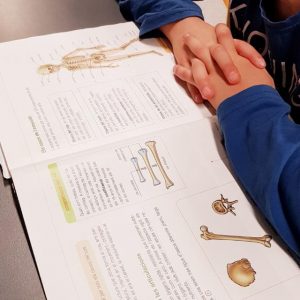 osteon charla aparato locomotor