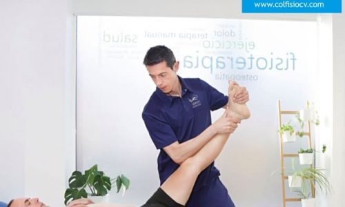 revista FAD carlos lopez cubas icofcv osteon neurodinamica