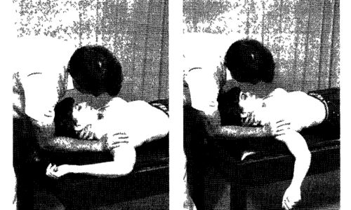 Historia de la Neurodinámica (V)