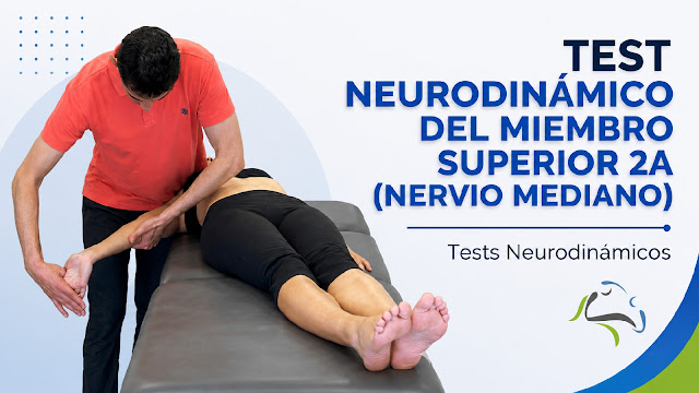 Test neurodinámico del miembro superior 2a