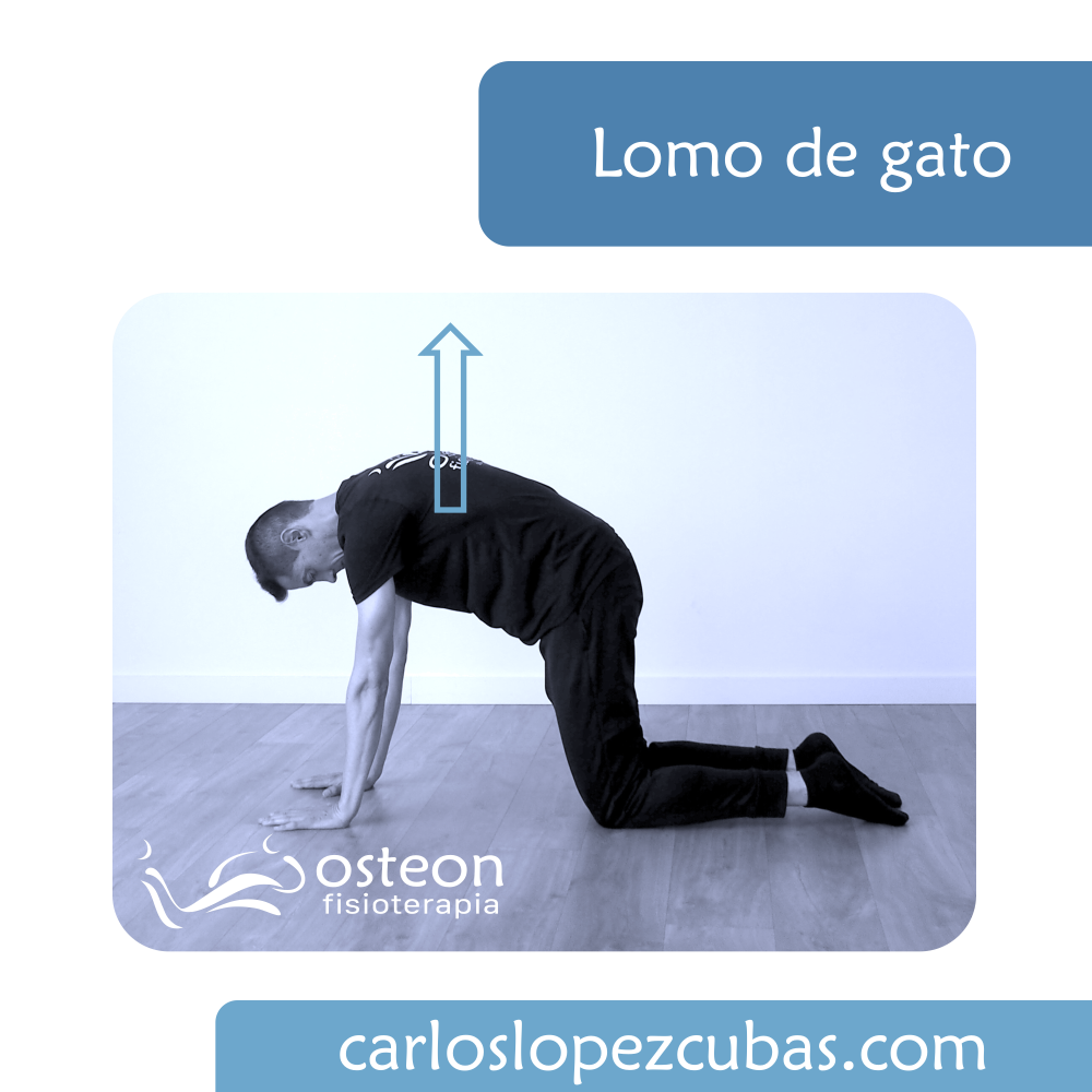 radiculopatía lumbar, ciatica osteon fisioterapia alaquas