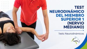 test neurodinamico miembro superior 1 mediano ulnt1
